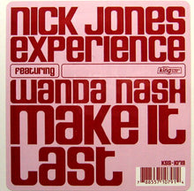 Load image into Gallery viewer, Nick Jones Experience Featuring Wanda Nash : Make It Last (12")
