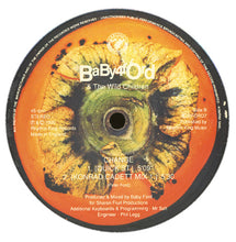 Load image into Gallery viewer, Baby Ford &amp; The Wild Children : Change (12&quot;)
