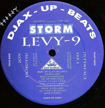 Load image into Gallery viewer, Storm (2) : Levy-9 (2x12")
