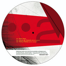 Load image into Gallery viewer, Fran Matjor : Vidrios Rotos (12")
