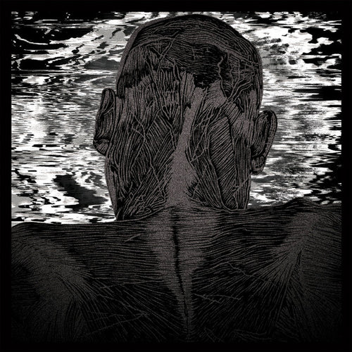 Asher Levitas : Lit Harness (LP, Album)