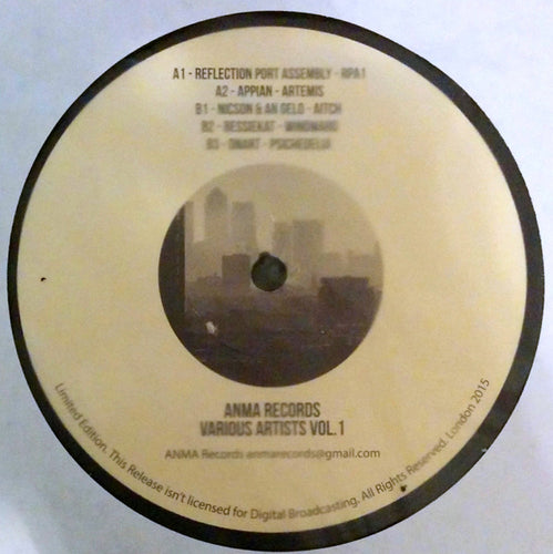Various : Various Artist Vol.1 (12