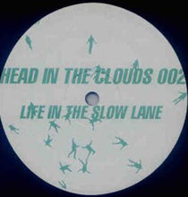 Load image into Gallery viewer, Damon Wild &amp; Woody McBride : Life In The Slow Lane (12")
