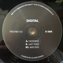 Load image into Gallery viewer, Digital : Niceness (12")
