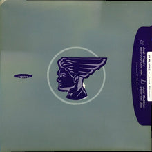 Load image into Gallery viewer, JT Playaz : Just Playin&#39; (12&quot;)
