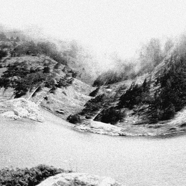 Leonard Lampion : 240283 (12