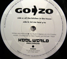 Load image into Gallery viewer, Go > Zo : All The Bitches In The House (12")
