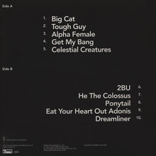 Load image into Gallery viewer, Wild Beasts : Boy King (LP, Album + 7&quot; + Dlx)
