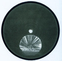 Load image into Gallery viewer, Pantha Du Prince : This Bliss (2xLP, Album)
