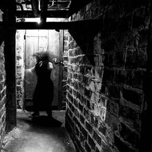 Load image into Gallery viewer, Luxus Varta : Rosenhan Experiment (12&quot;)
