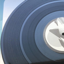 Load image into Gallery viewer, The Skinless Brothers : It&#39;s The G (12&quot;)
