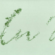 Load image into Gallery viewer, Luciano : No Model No Tool (2x12", Album)
