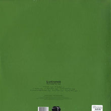 Load image into Gallery viewer, Luciano : No Model No Tool (2x12", Album)
