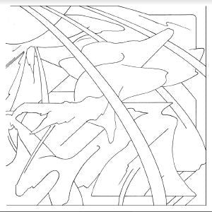 Tom Hang : The New World   (12