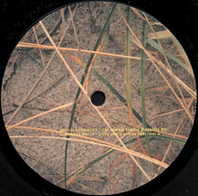 Load image into Gallery viewer, Ulrich Schnauss : Far Away Trains Passing By (LP, Album)
