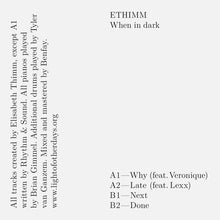 Load image into Gallery viewer, Ethimm : When In Dark (12", Ltd)
