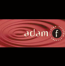 Load image into Gallery viewer, Adam F : Circles (12")
