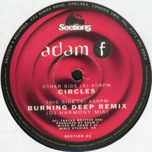 Load image into Gallery viewer, Adam F : Circles (12")
