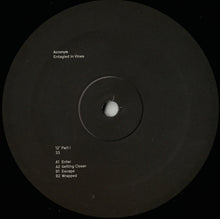 Load image into Gallery viewer, Acronym : Entagled In Vines (2x12", EP)

