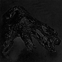 Load image into Gallery viewer, LCD Soundsystem : North American Scum (12", Single)
