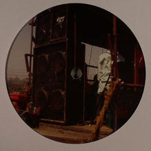 Load image into Gallery viewer, Speaker Junk : Foxxy (12")
