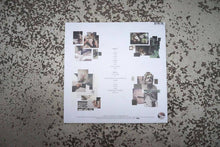 Load image into Gallery viewer, Dil Withers : Studies (LP, Album)
