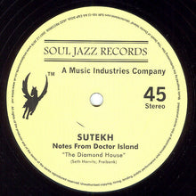 Load image into Gallery viewer, Sutekh : Notes From Doctor Island (12&quot;)
