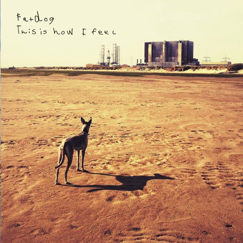 Fatdog : This Is How I Feel EP  (12