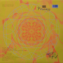 Load image into Gallery viewer, Process (2) : Internal Horizon / Funktion Junktion (12")
