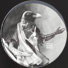 Load image into Gallery viewer, Camea : Hello Earth EP (12&quot;, EP)

