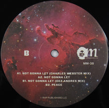 Load image into Gallery viewer, Randolph* : Not Gonna Let (Remixes) (12&quot;)
