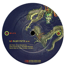 Load image into Gallery viewer, Prānā* : Geomantik (4xLP, Album)
