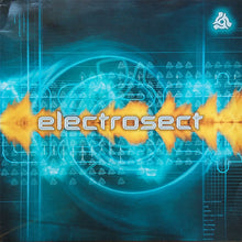 Load image into Gallery viewer, Various : Electrosect (2xLP, Comp)
