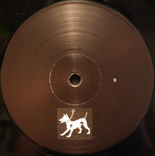 Load image into Gallery viewer, Vit Fana : Irrgång (LP, Album)

