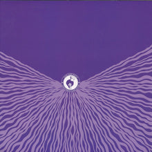 Load image into Gallery viewer, Etch (4) : The Cosmic B​-​Boy EP (12", EP, Pur)
