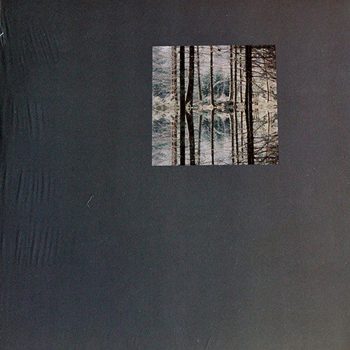 Modeste : Absurd Memories (2xLP, Album)