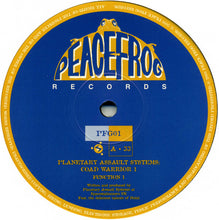 Load image into Gallery viewer, Planetary Assault Systems : Coad Warrior 1 (12")

