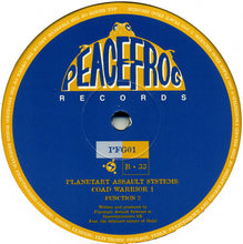 Load image into Gallery viewer, Planetary Assault Systems : Coad Warrior 1 (12")
