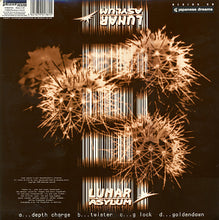Load image into Gallery viewer, Lunar Asylum : Lunar Asylum (2x12", Album)

