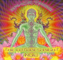 Load image into Gallery viewer, Space Tribe : The Future's Right Now (2x12", Album)
