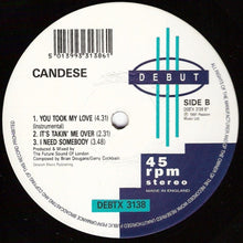 Load image into Gallery viewer, Candese : You Took My Love (12&quot;)
