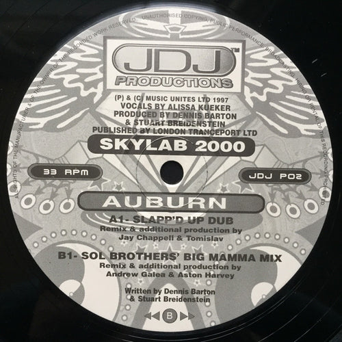Skylab 2000 : Auburn (12
