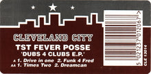 Load image into Gallery viewer, TST Fever Posse : Dubs 4 Clubs E.P. (12", EP)
