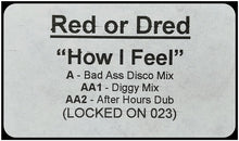 Load image into Gallery viewer, Red Or Dred* : How I Feel (12", Promo)
