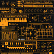 Load image into Gallery viewer, A Guy Called Gerald : Proto Acid / The Berlin Sessions 2 (12")
