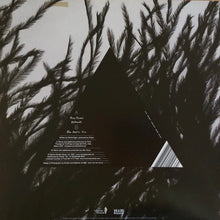 Load image into Gallery viewer, Jape : Floating (12")
