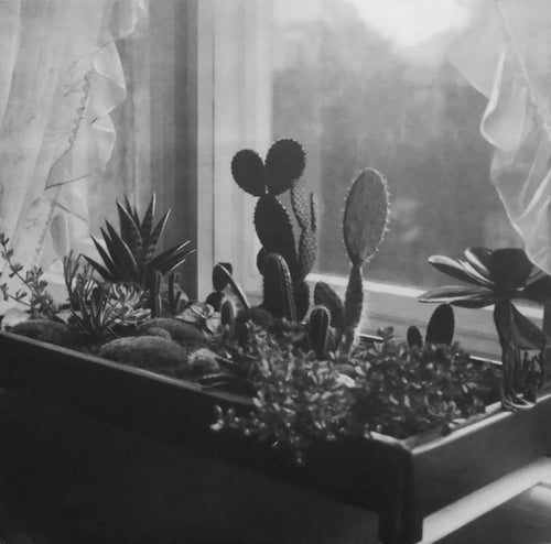 Turinn : 18 ½ Minute Gaps (2xLP, Album)