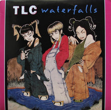 Load image into Gallery viewer, TLC : Waterfalls (12")
