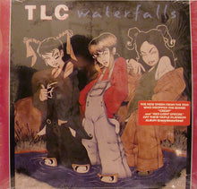 Load image into Gallery viewer, TLC : Waterfalls (12")
