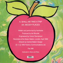 Load image into Gallery viewer, Northside (2) : Shall We Take A Trip / Moody Places (12&quot;, Single)
